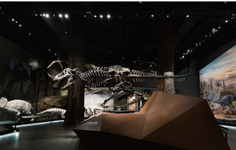 ABUIABAEGAAg066dxwYo4PeWtAcwzQI41QE